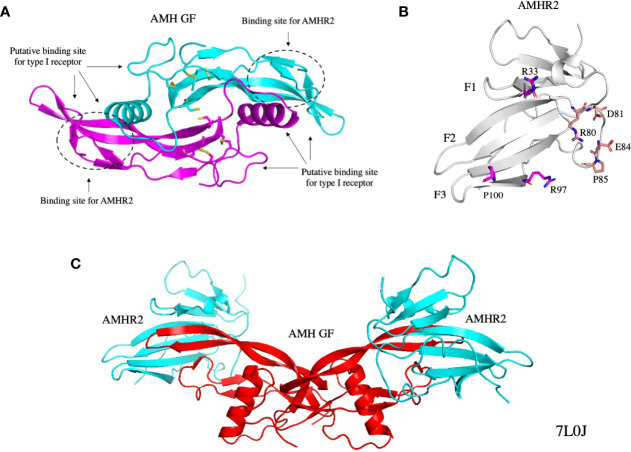 Figure 2