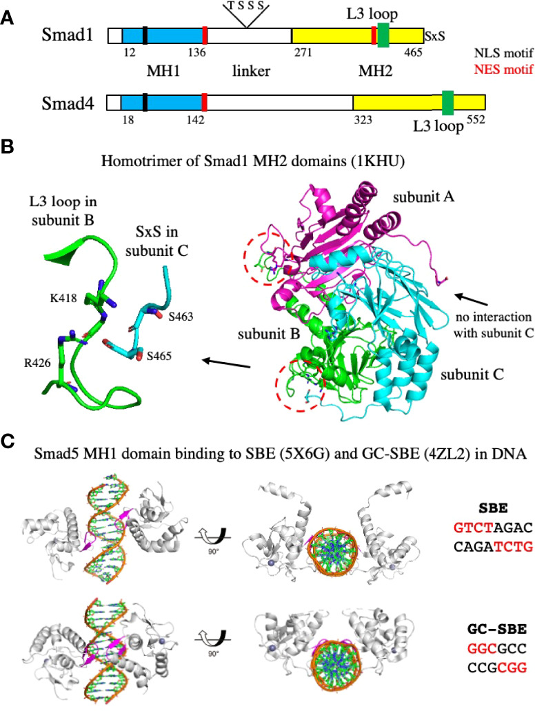 Figure 6