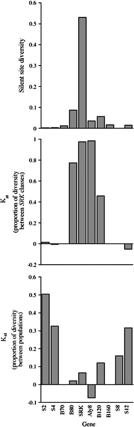 Figure 3.—