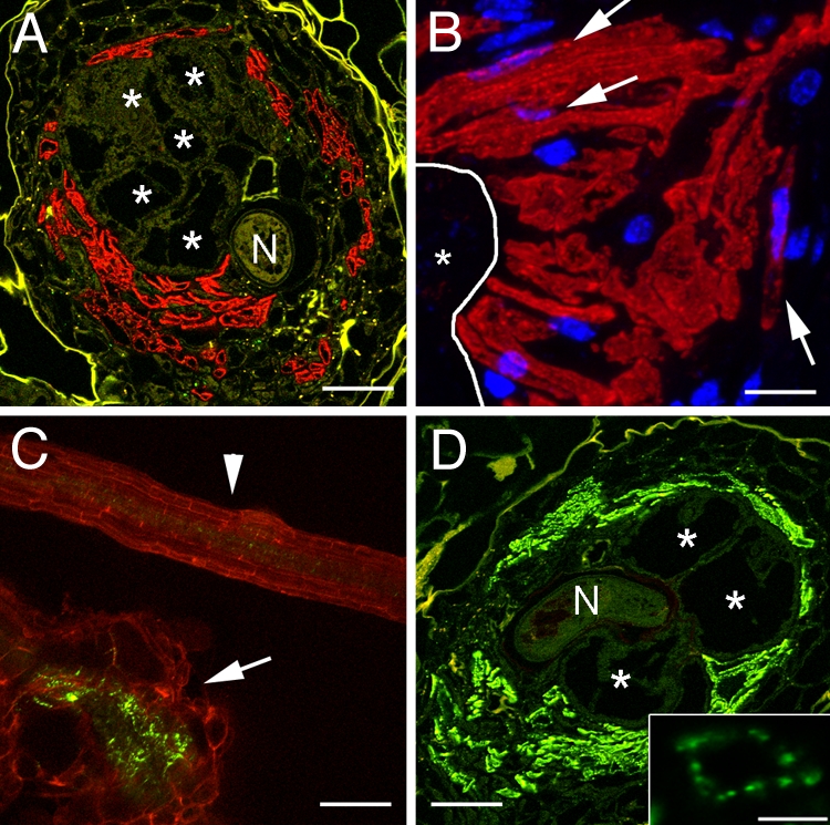 Fig. 3.