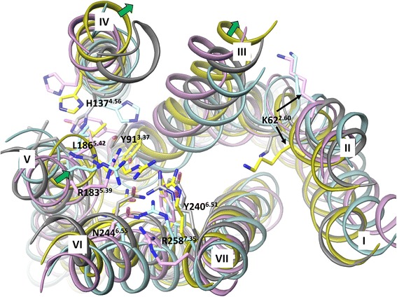 Fig. 2