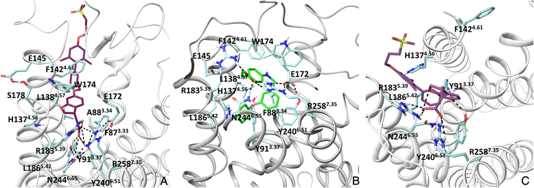 Fig. 3