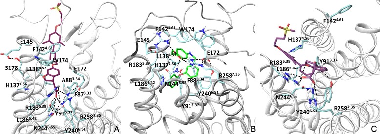 Fig. 3