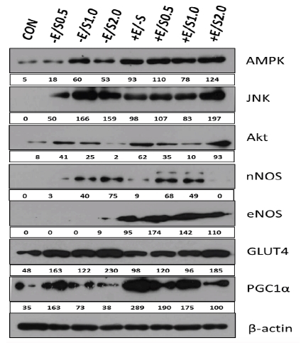 Fig.5.