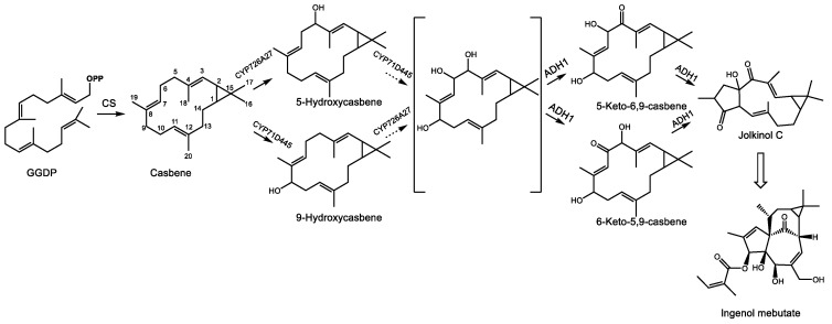 Figure 9