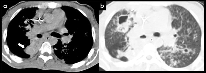 Fig. 8