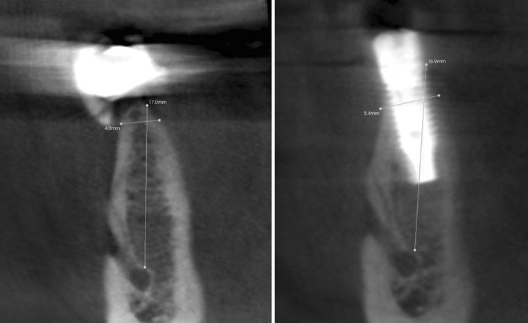 Fig. 10