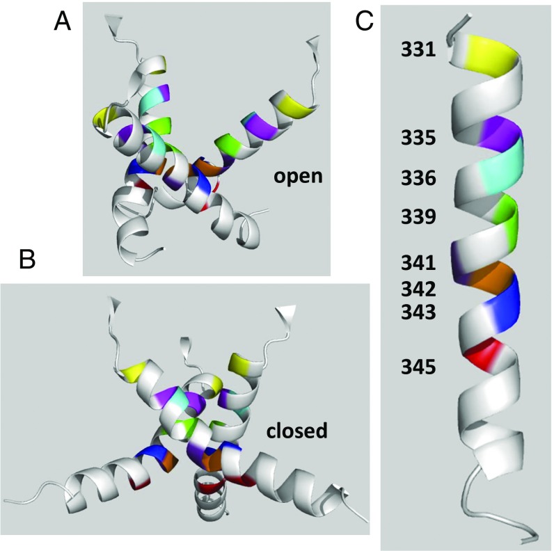 Fig. 8.