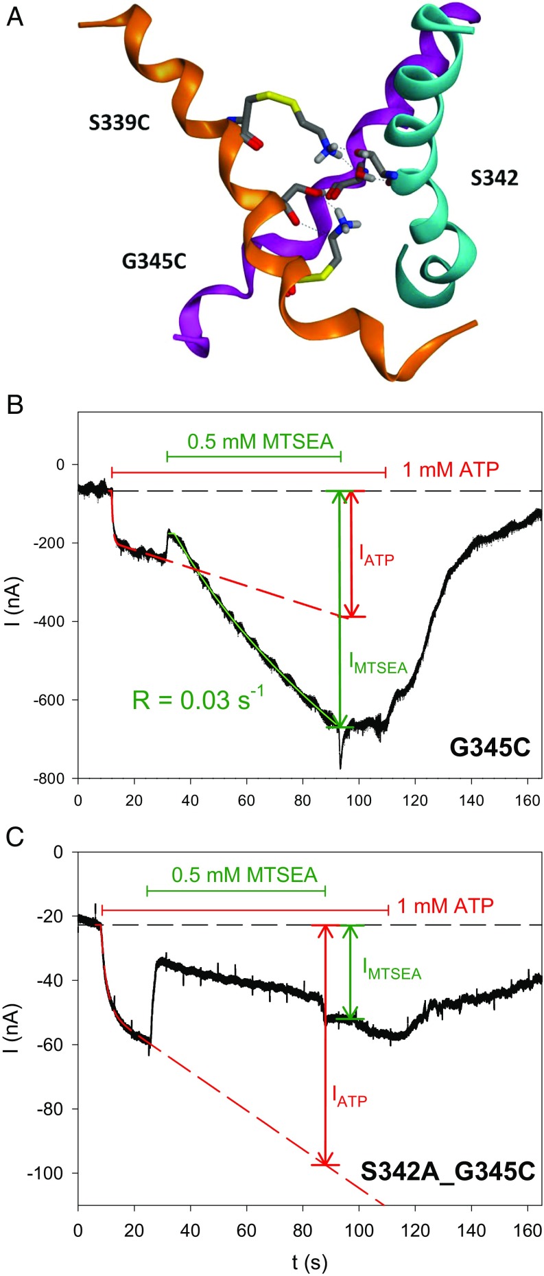 Fig. 9.