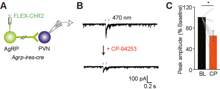 Supplementary Figure 6