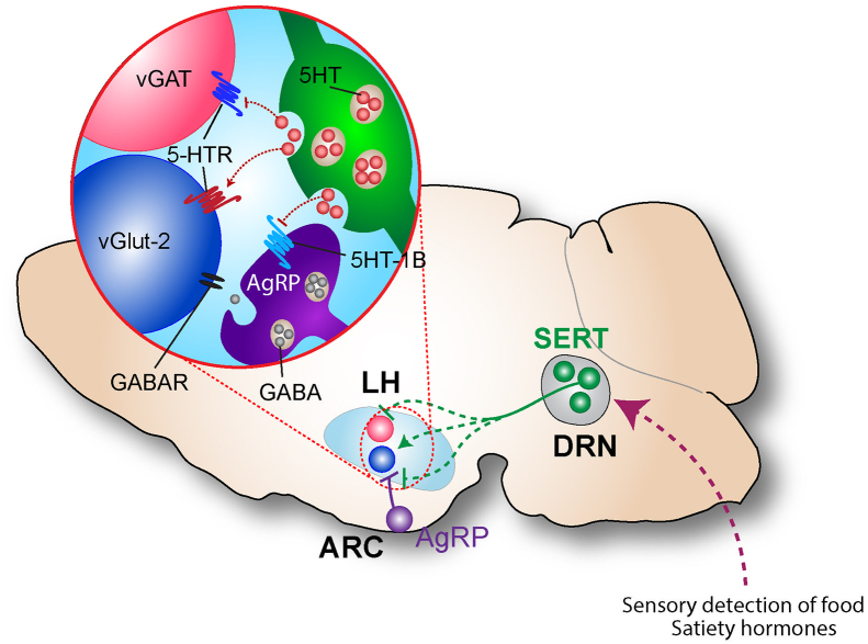 Supplementary Figure 7