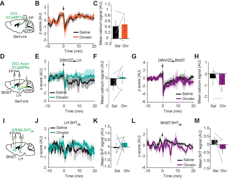 Supplementary Figure 3