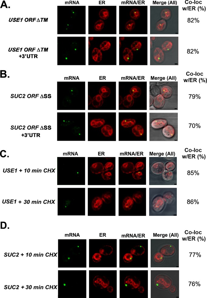 FIGURE 5: