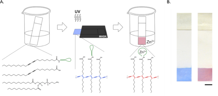 Fig. 3