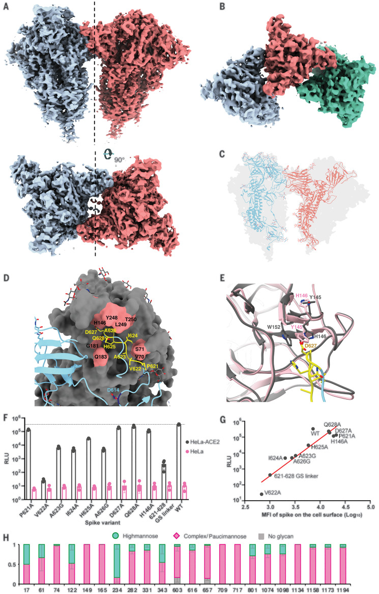 Fig. 4