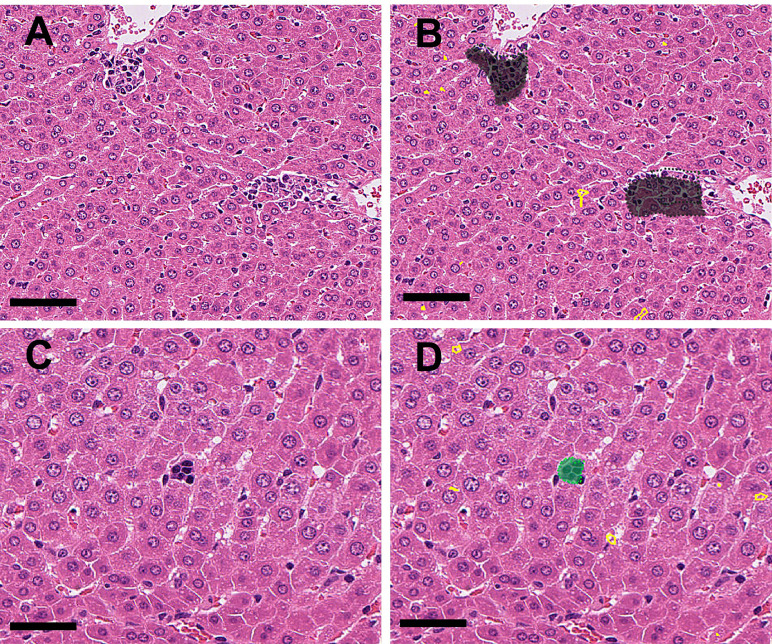 Fig. 7.