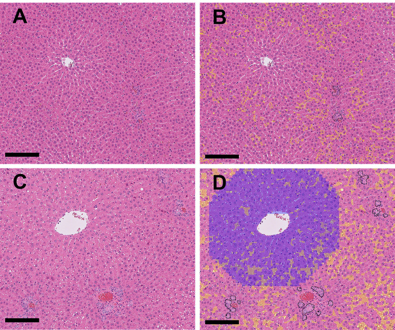 Fig. 6.