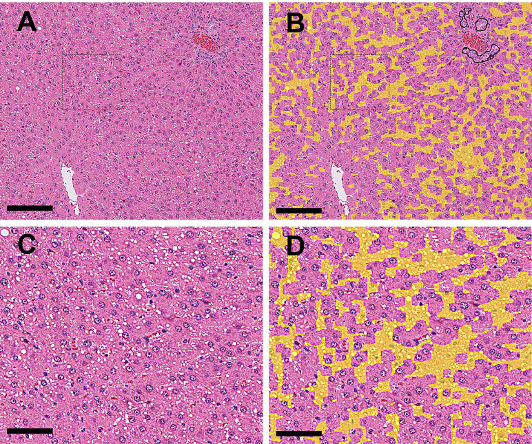 Fig. 3.