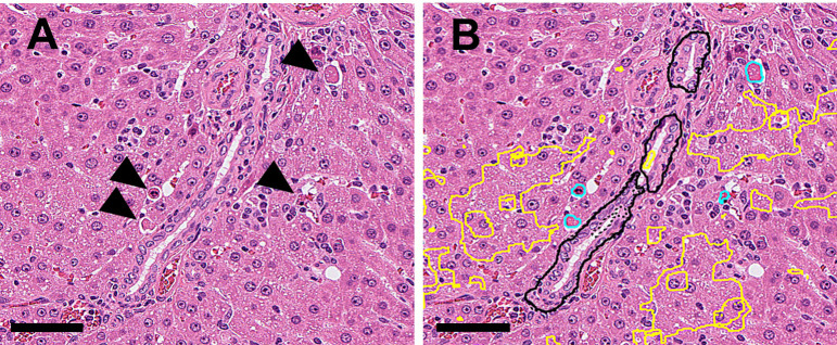 Fig. 5.