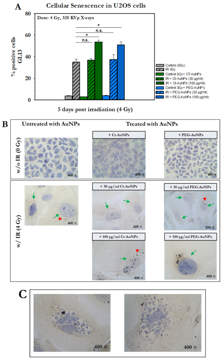 Figure 16