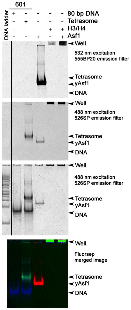 Figure 5.1