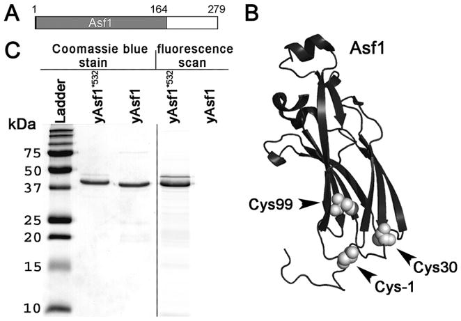 Figure 2.1