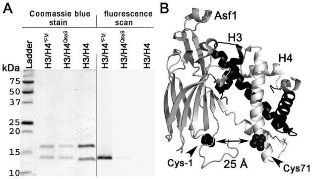 Figure 3.1