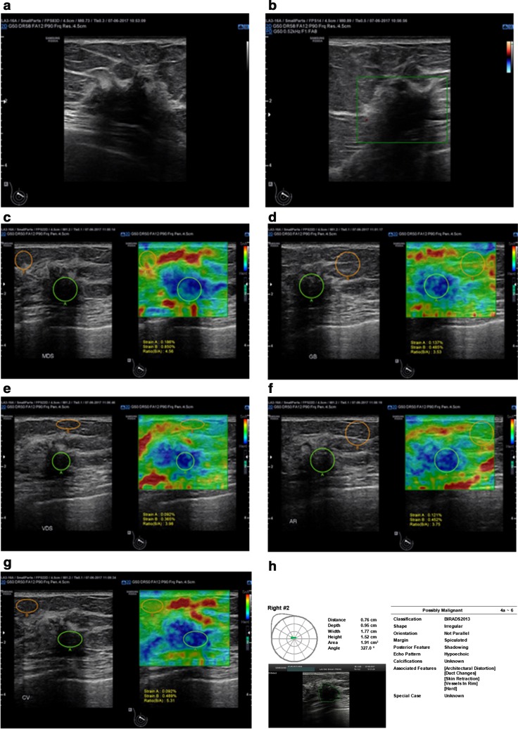 Fig. 6