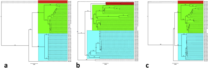 Fig. 3