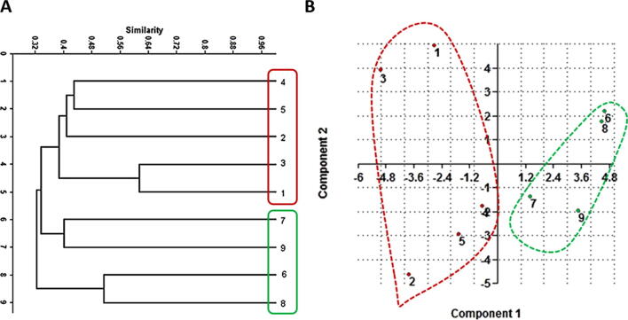 Fig. 6