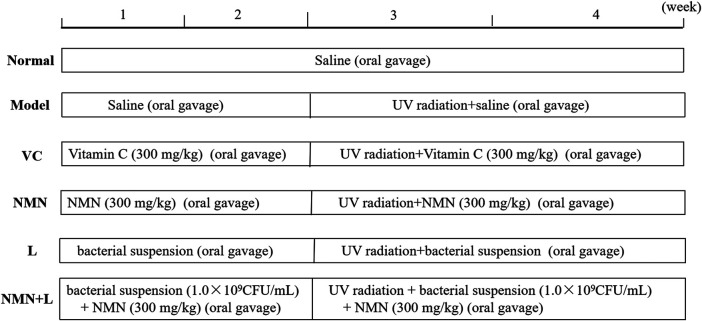 FIGURE 1