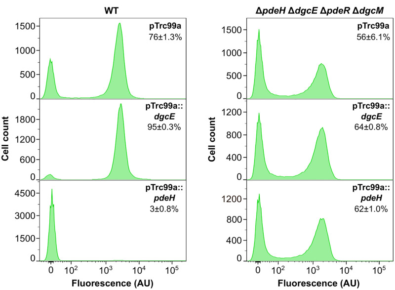 Fig 3