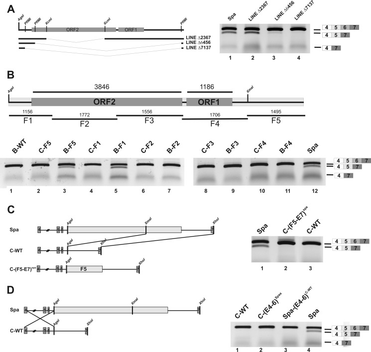 FIGURE 2.