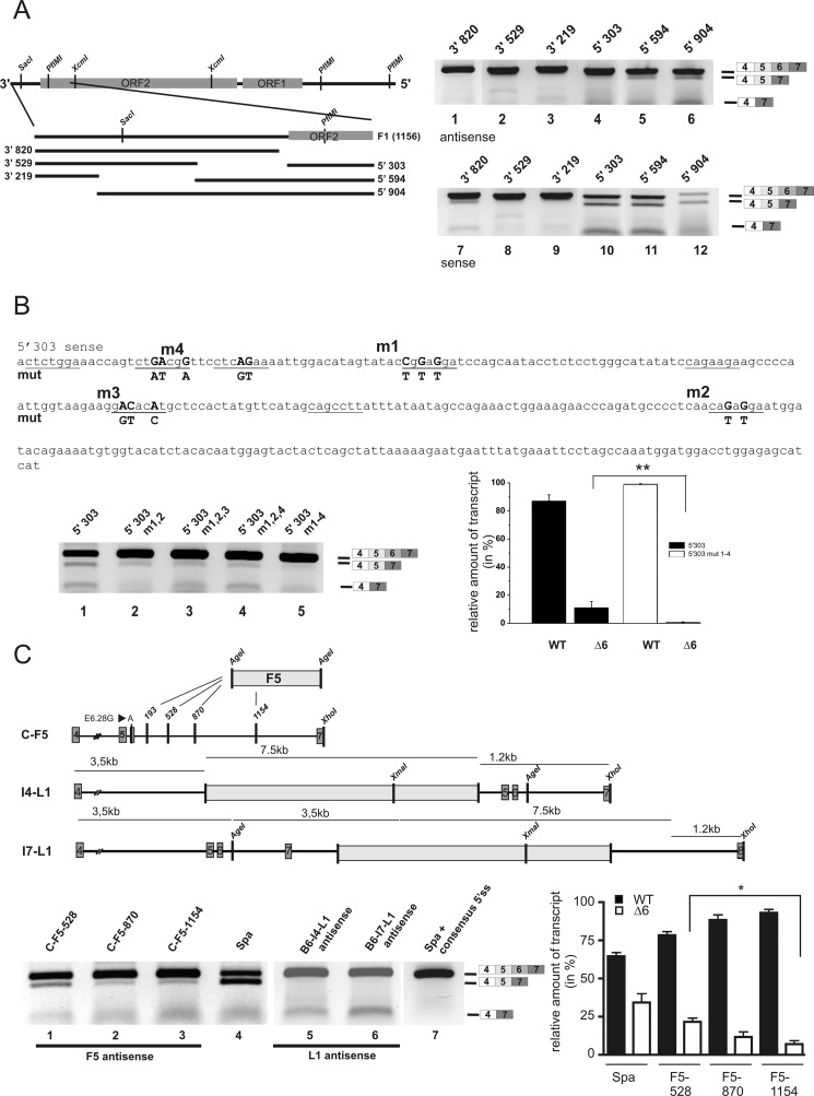 FIGURE 5.