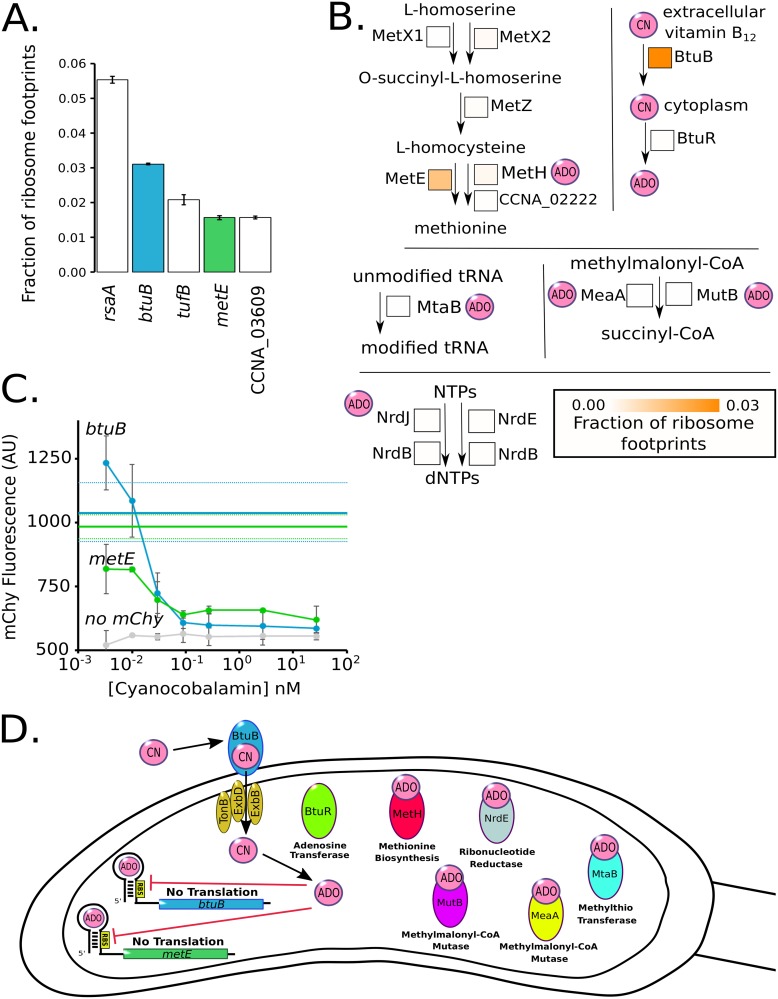 FIG 3