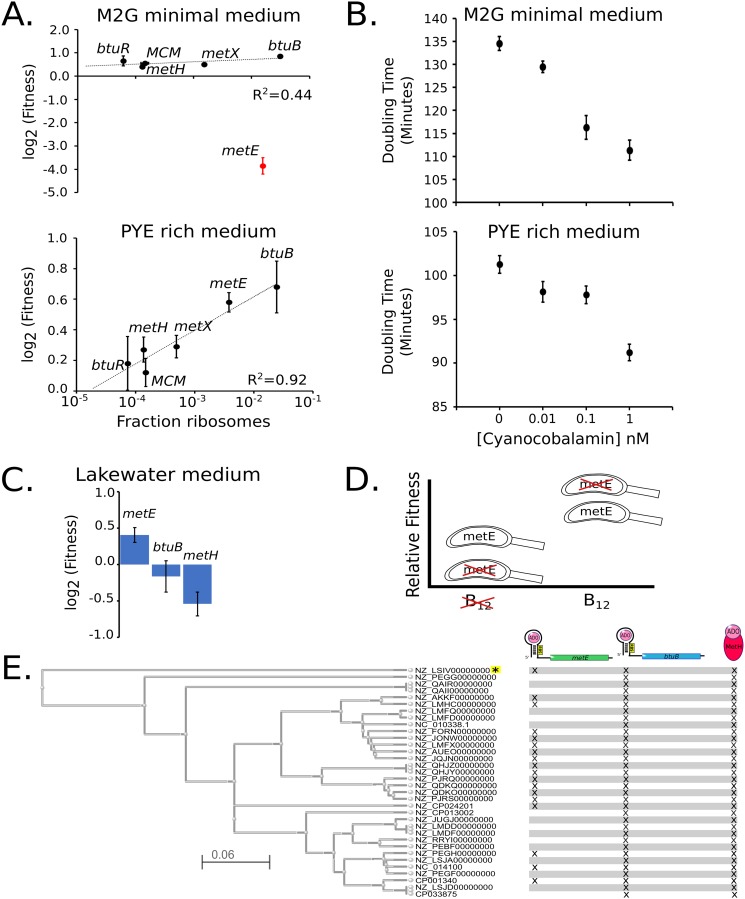 FIG 4