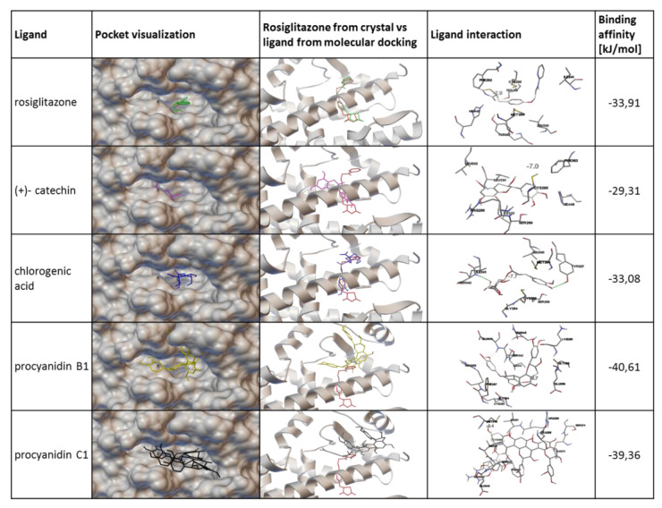 Figure 13