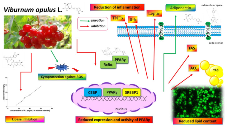 Figure 14