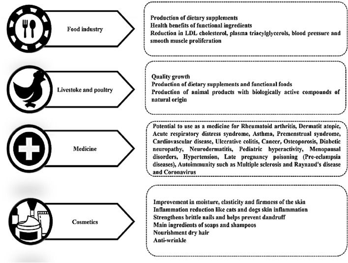 Food industry section highlights dietary supplements, functional ingredients, and health benefits such as reduced cholesterol and blood pressure. Livestock and poultry focus on growth and biologically active compounds. Medicine section lists potential treatments for various diseases, including rheumatoid arthritis and asthma. The cosmetics section emphasizes moisture, elasticity, firm skin, nail strengthening, dry hair treatment, and anti-wrinkle benefits.