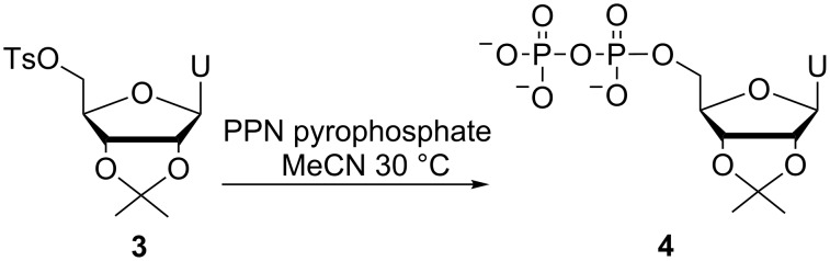 Scheme 4