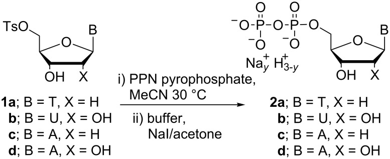 Scheme 2