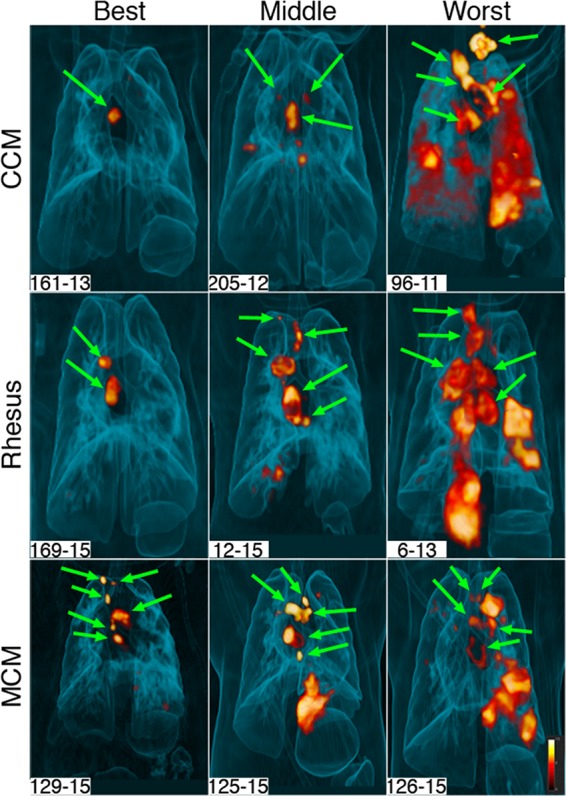 FIG 1