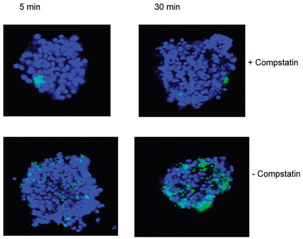 FIGURE 3