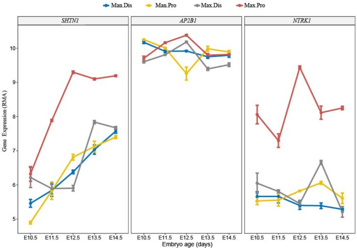 Figure 4