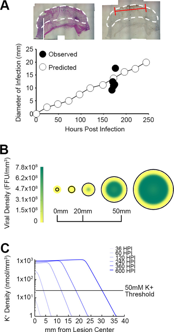 FIG 6