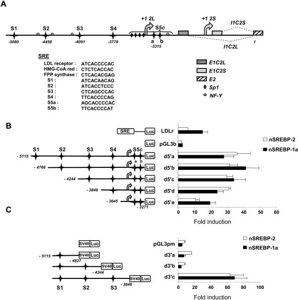 FIG. 1.