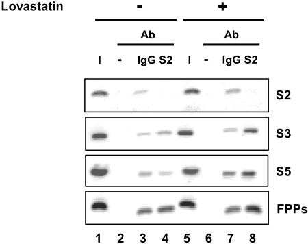 FIG. 5.