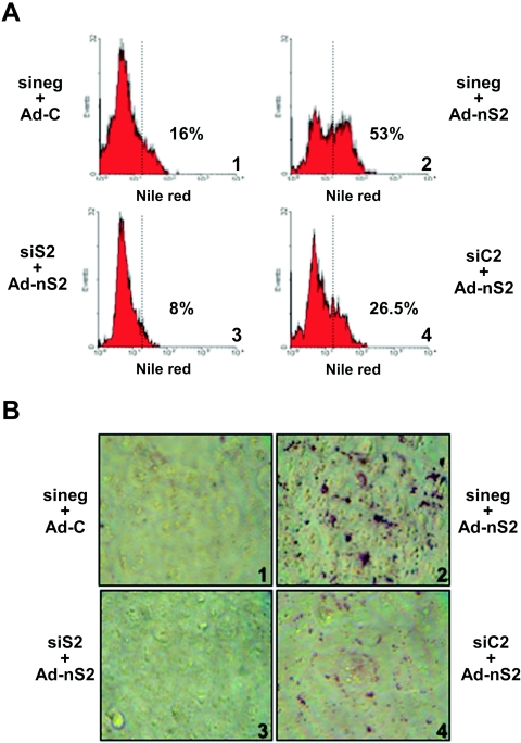 FIG. 6.