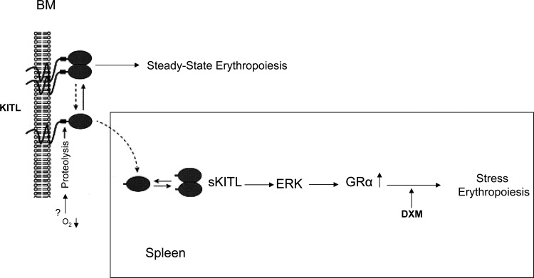 FIG. 9.