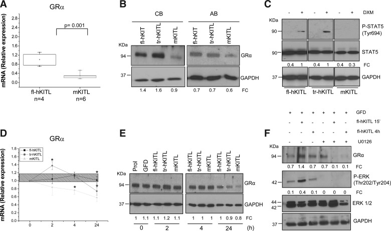 FIG. 8.